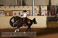 10yn-19520 proof