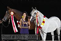 10yn-28388 proof