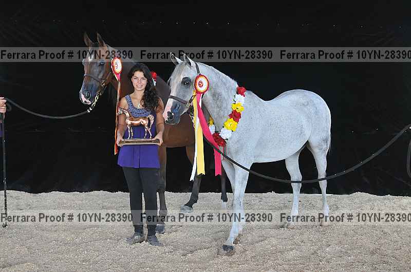 Proof 10yn-28390