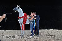 10yn-28402 proof