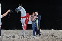 10yn-28404 proof