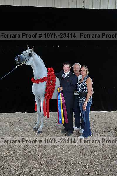 Proof 10yn-28414