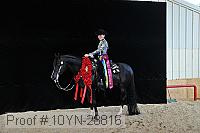 10yn-28816 proof