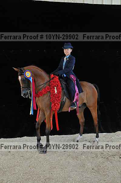 Proof 10yn-29902