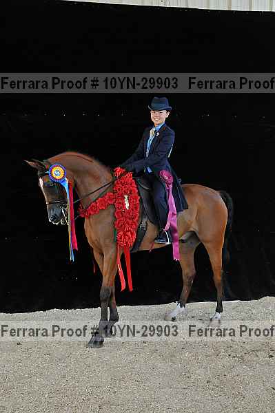 Proof 10yn-29903