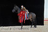 10yn-29999 proof