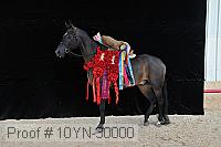 10yn-30000 proof