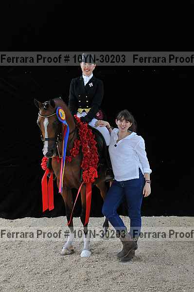 Proof 10yn-30203