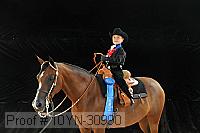 10yn-30990 proof