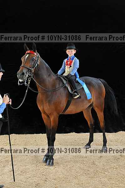 Proof 10yn-31086