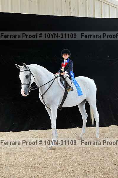 Proof 10yn-31109