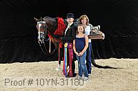 10yn-31180 proof