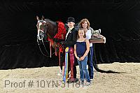 10yn-31181 proof