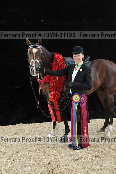 Proof 10yn-31193