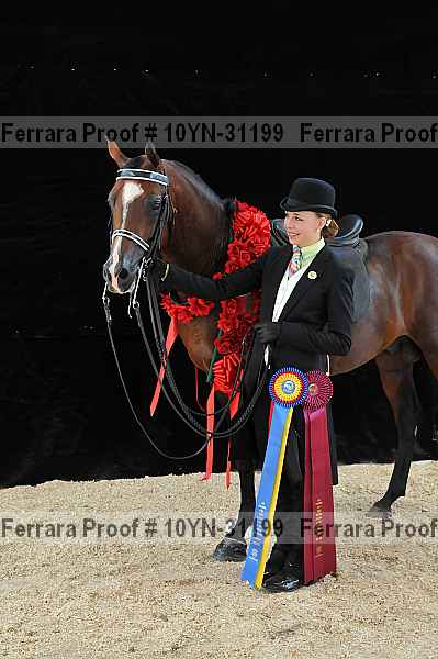Proof 10yn-31199