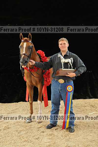 Proof 10yn-31208