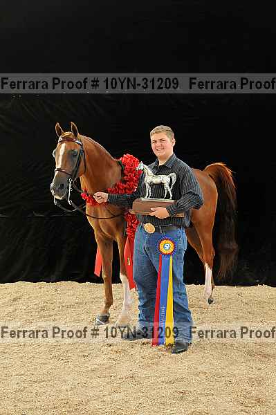 Proof 10yn-31209