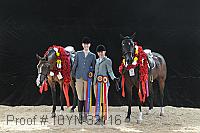 10yn-32116 proof