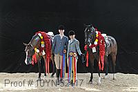 10yn-32117 proof