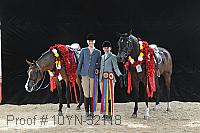 10yn-32118 proof