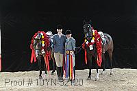 10yn-32120 proof