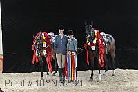 10yn-32121 proof
