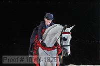 10yn-18281 proof