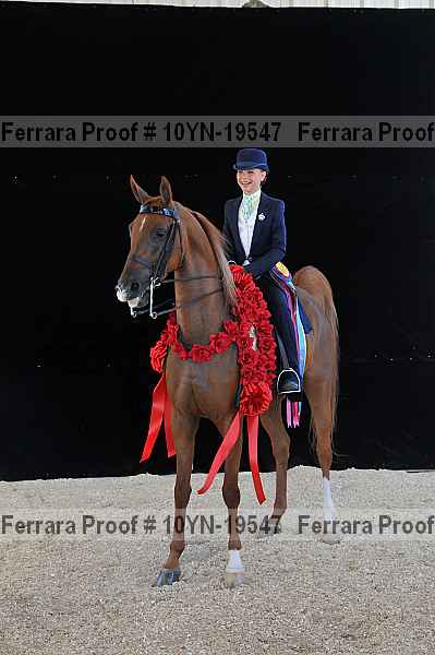 Proof 10yn-19547