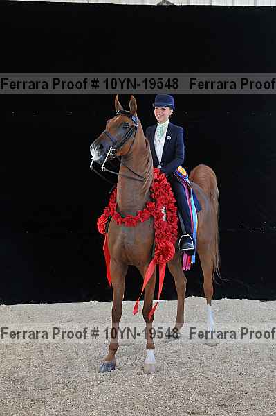 Proof 10yn-19548