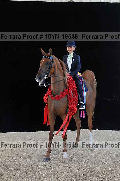 Proof 10yn-19549