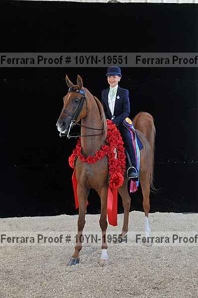 Proof 10yn-19551