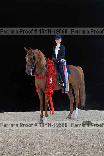Proof 10yn-19560