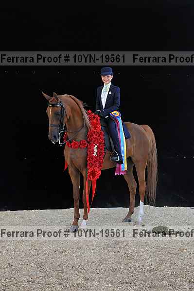 Proof 10yn-19561