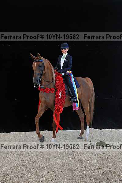 Proof 10yn-19562