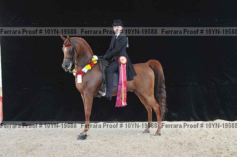 Proof 10yn-19588