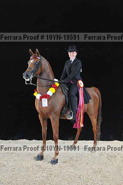 Proof 10yn-19591