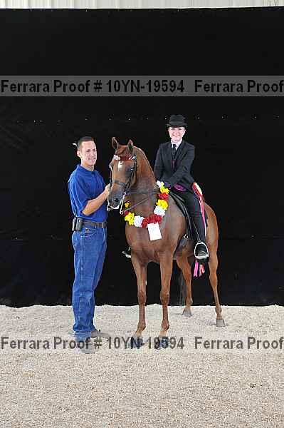 Proof 10yn-19594