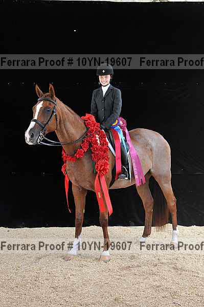 Proof 10yn-19607