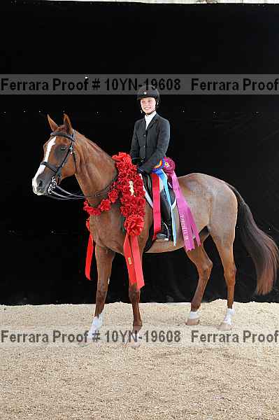 Proof 10yn-19608