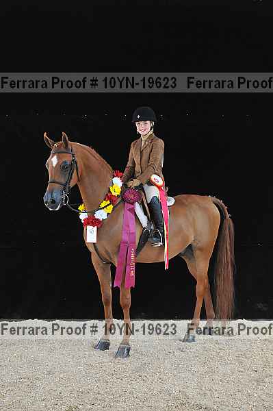 Proof 10yn-19623