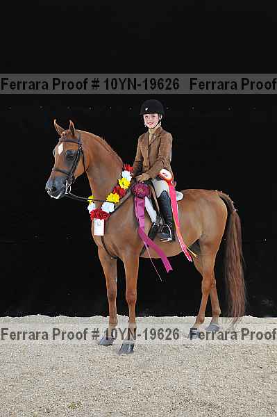 Proof 10yn-19626