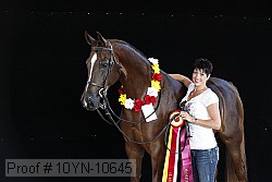 10yn-10645 proof