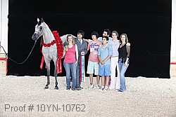 10yn-10762 proof