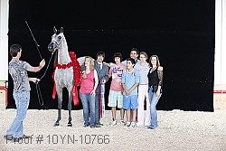 10yn-10766 proof