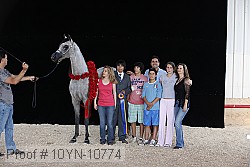 10yn-10774 proof