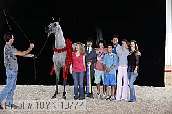10yn-10777 proof