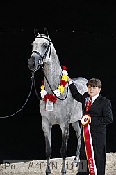 10yn-11171 proof