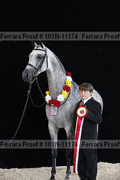 Proof 10yn-11174