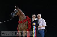 10yn-14409 proof