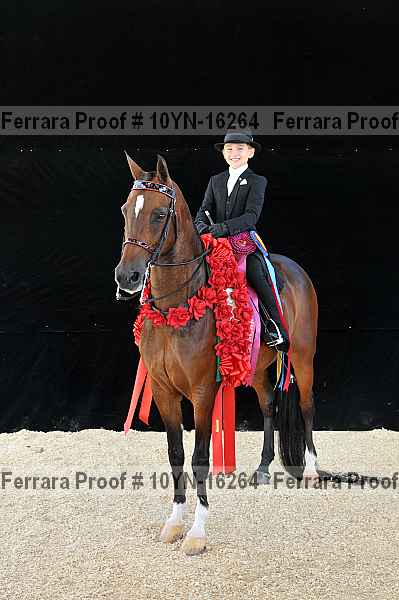 Proof 10yn-16264